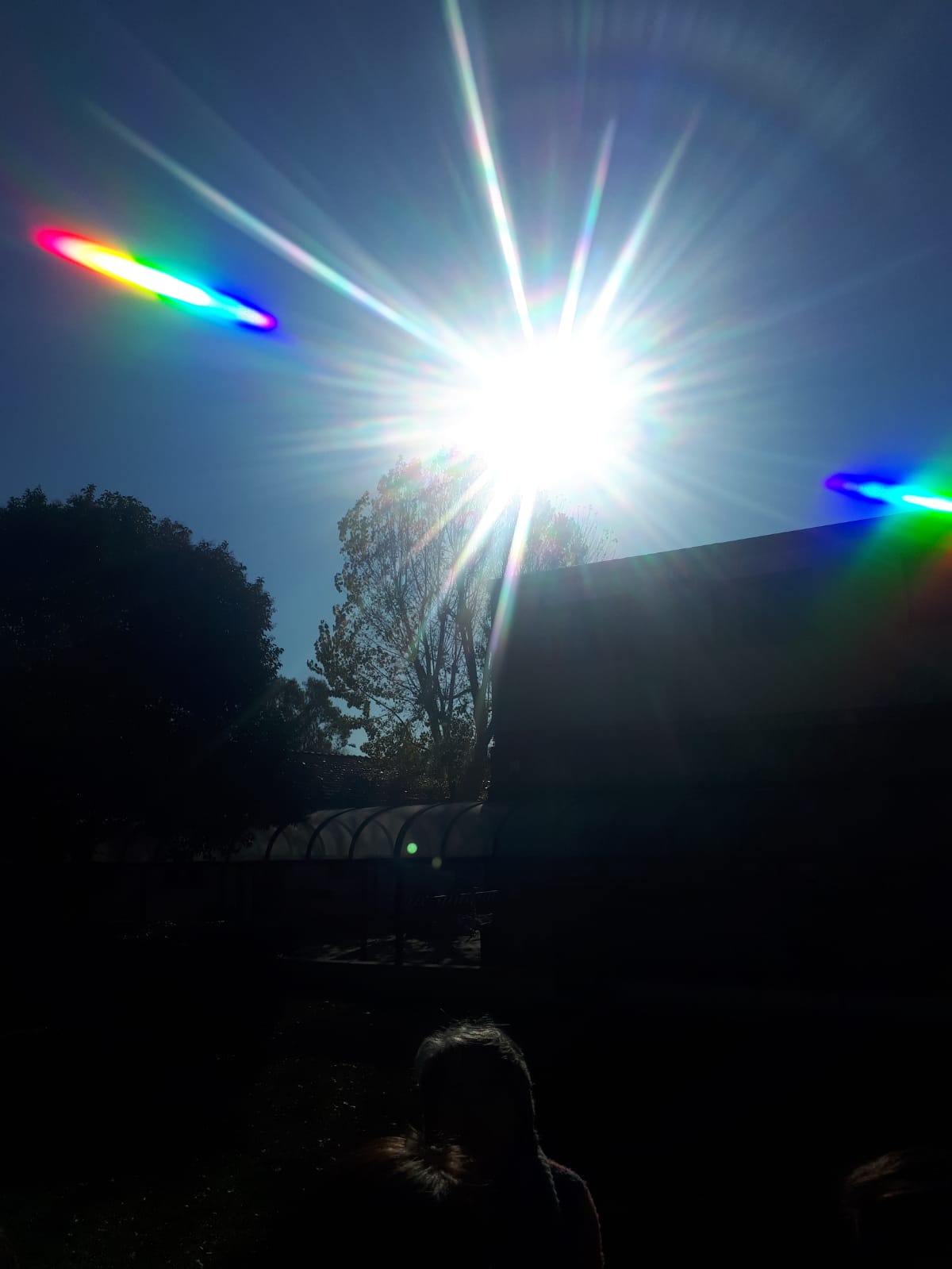 Why are bubbles rainbow coloured? – Exeter Science Centre